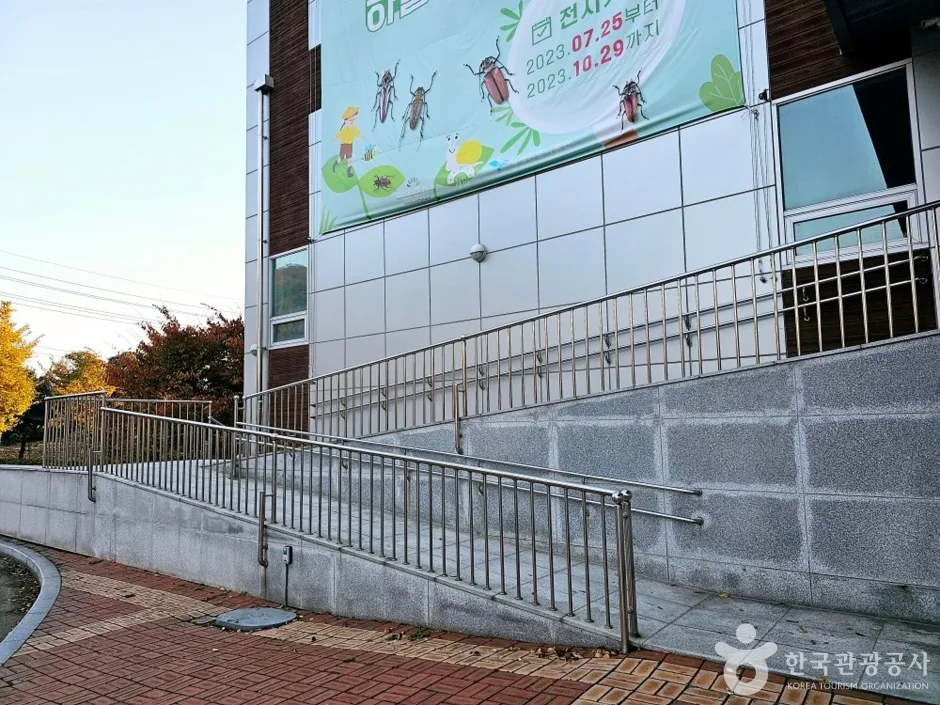 양평곤충박물관_4