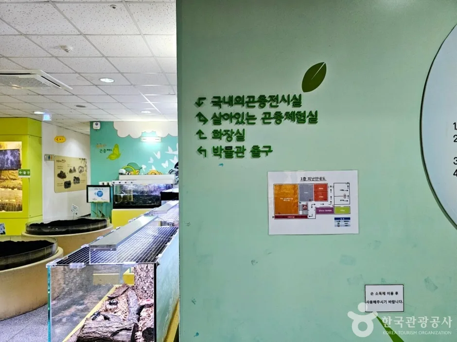 양평곤충박물관_8