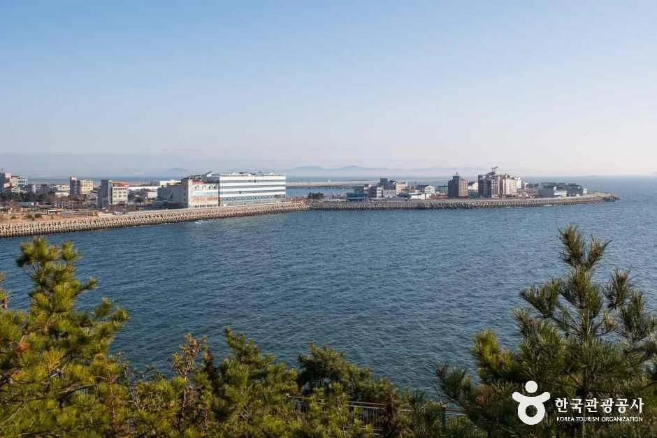 전북_군산_비응항_전경_3.jpg