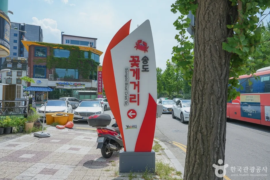 송도꽃게거리11