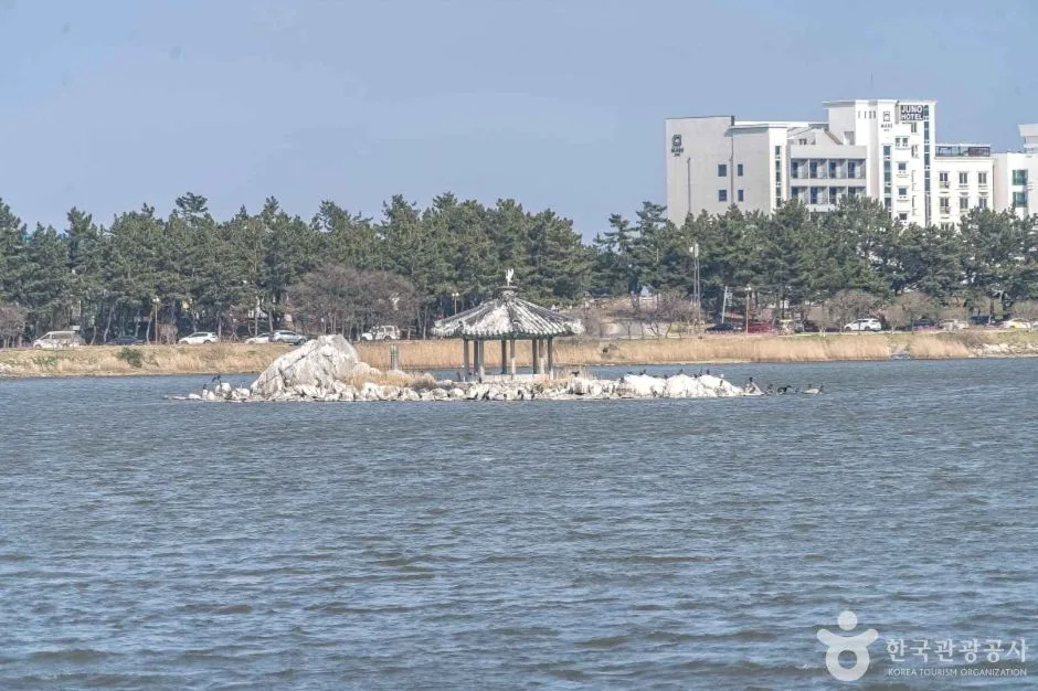 경포도립공원 (5)