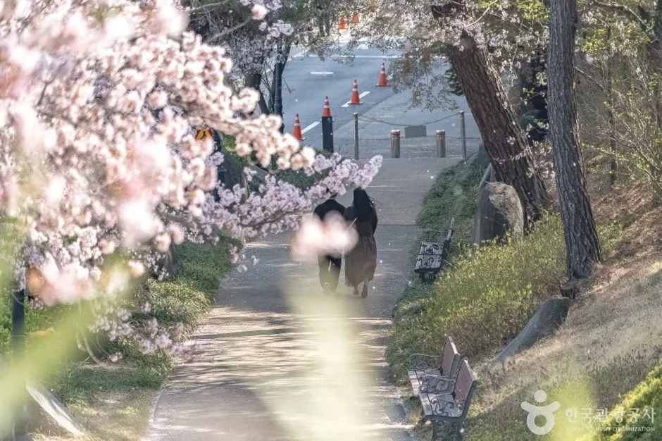 경포도립공원 (3)