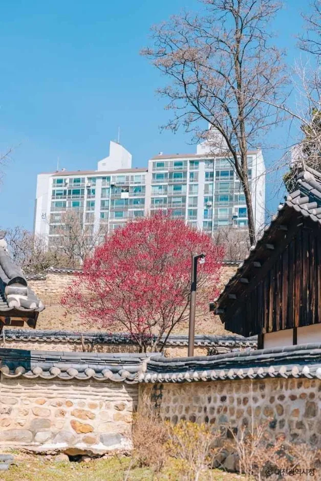 대전 회덕 동춘당 (7)