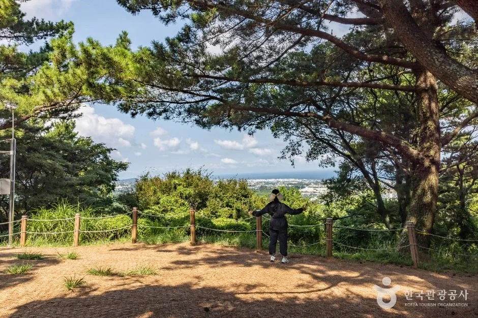 제주_한라수목원 (22)