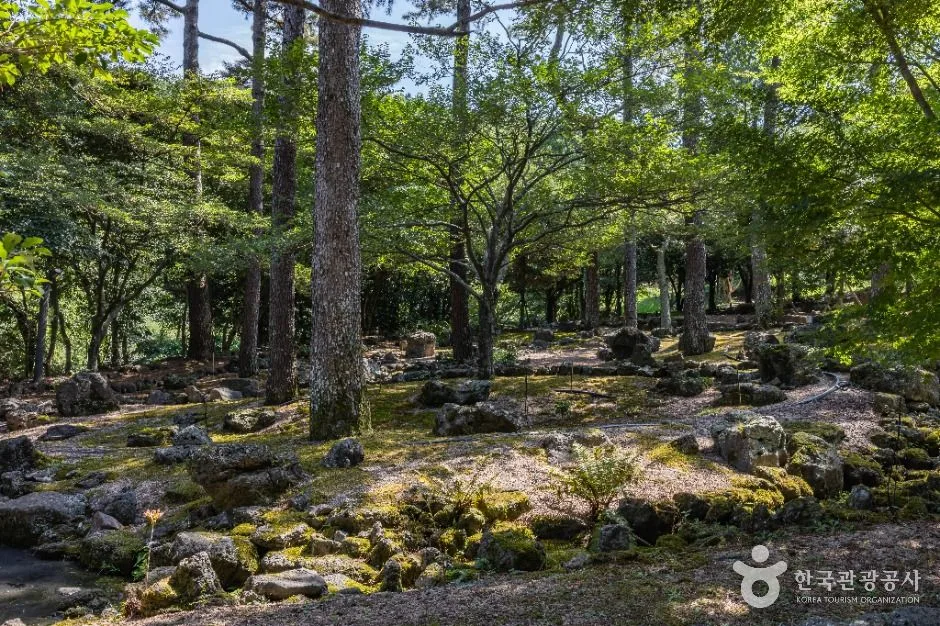 제주_한라수목원 (15)