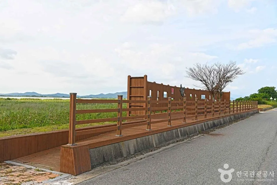고천암호(철새도래지) (2)