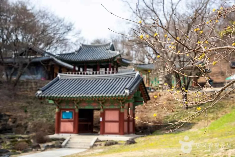철원 도피안사