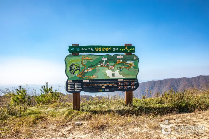 강원_횡성_태기산12
