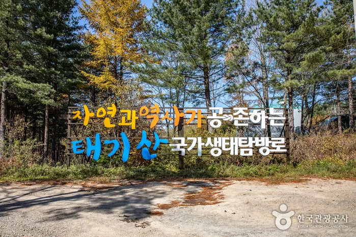 강원_횡성_태기산_전망대4.jpg