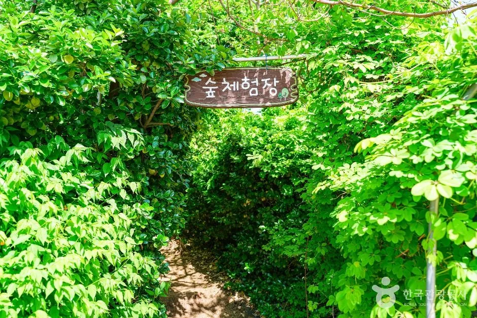 서울_서울특별시교육청 융합과학교육원 남부분원 (3)