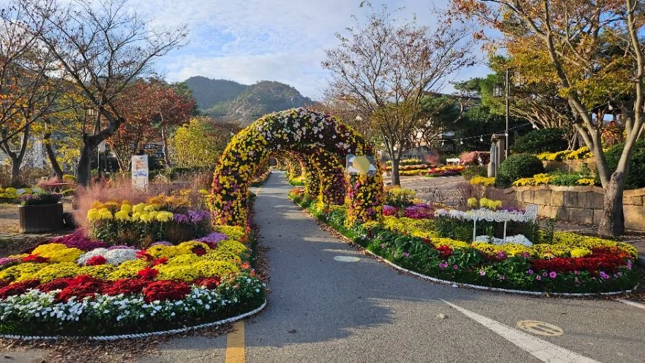 2026 월출산 국화축제 (5).jpg