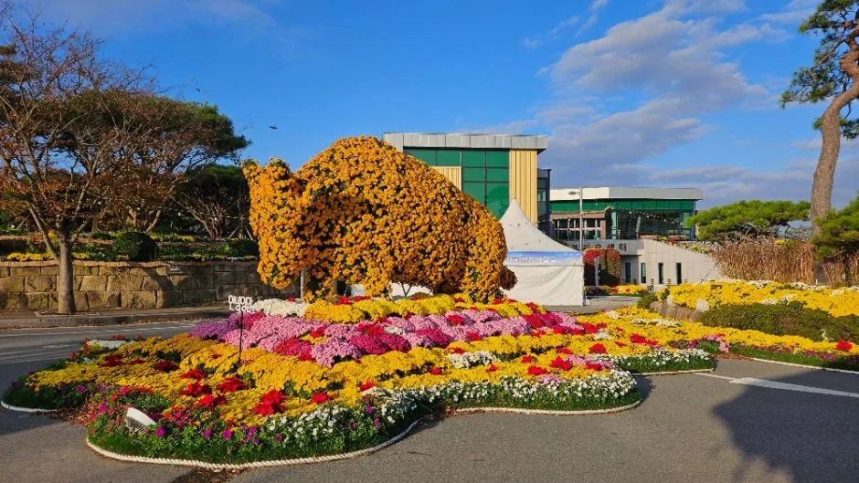 2026 월출산 국화축제 (2).jpg