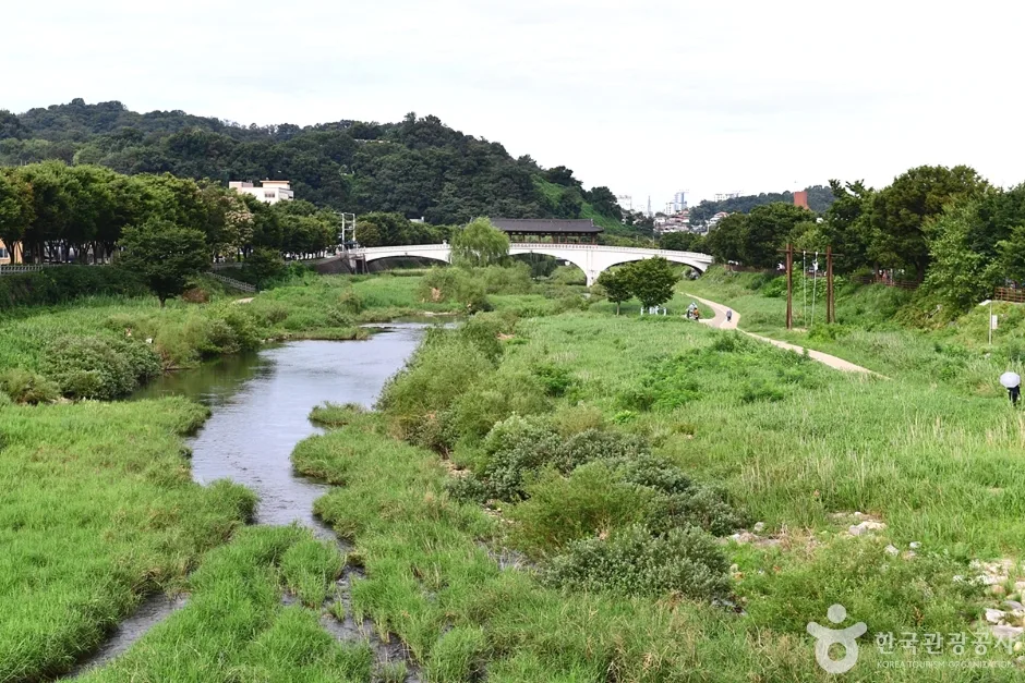 전남_전주_전주천_징검다리2.jpg