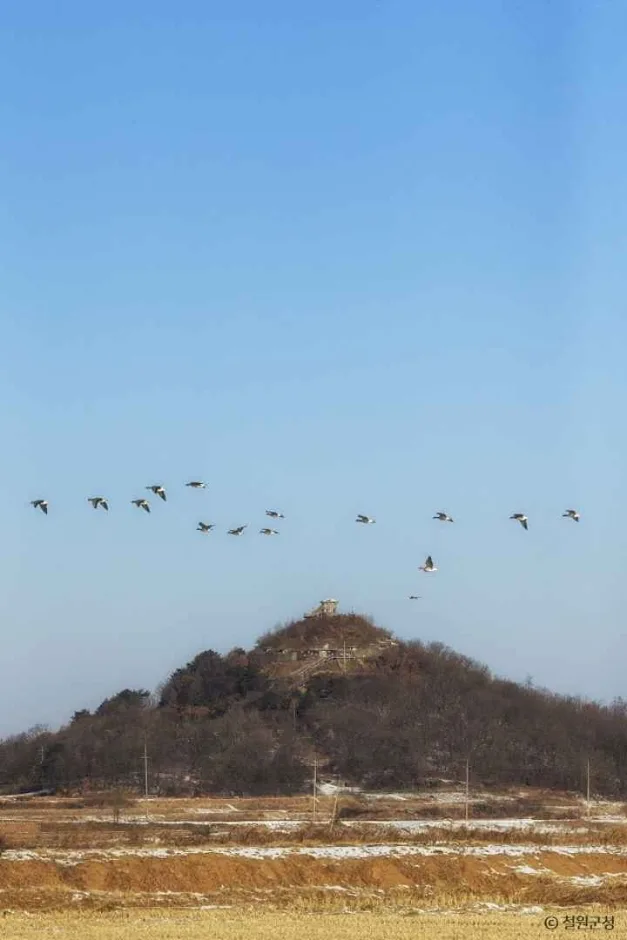 삽슬봉(아이스크림 고지) (5)