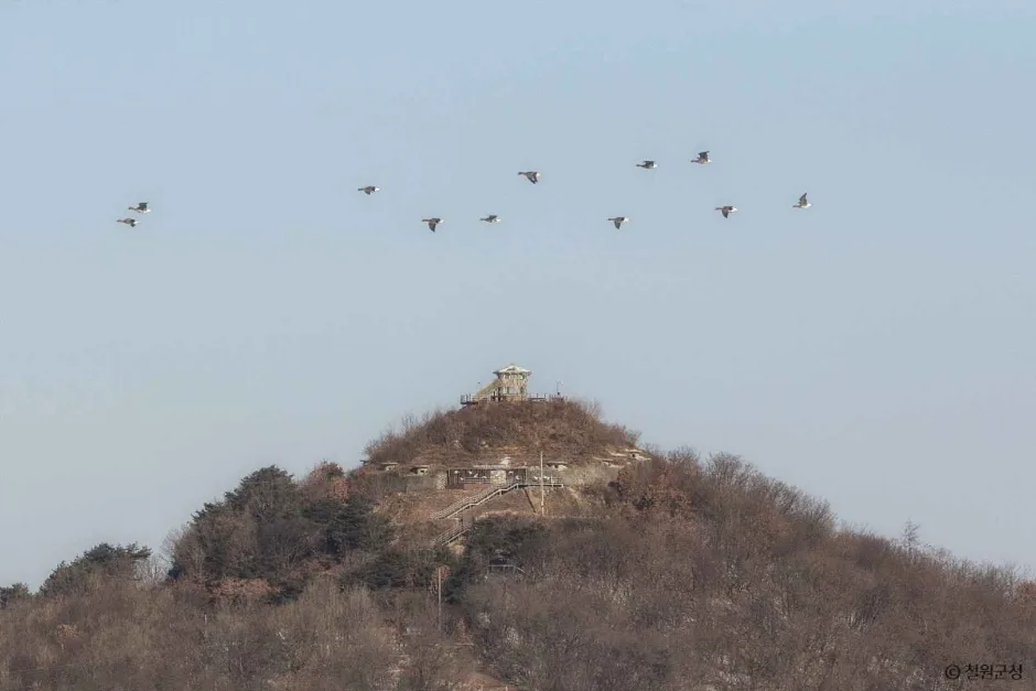 삽슬봉(아이스크림 고지) (4)