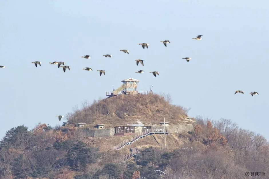 삽슬봉(아이스크림 고지) (2)