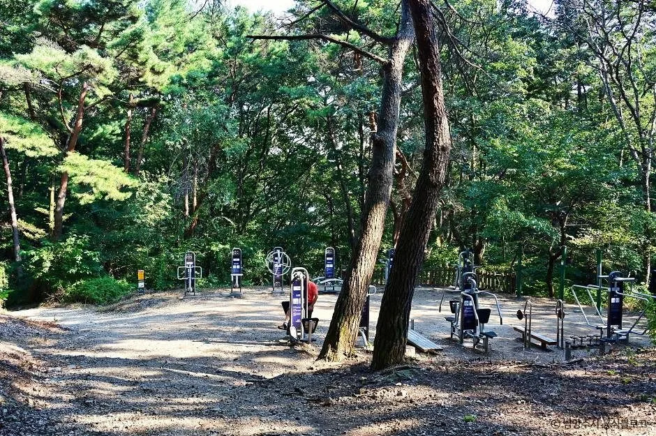 남양주_천마산 시립공원 (9)