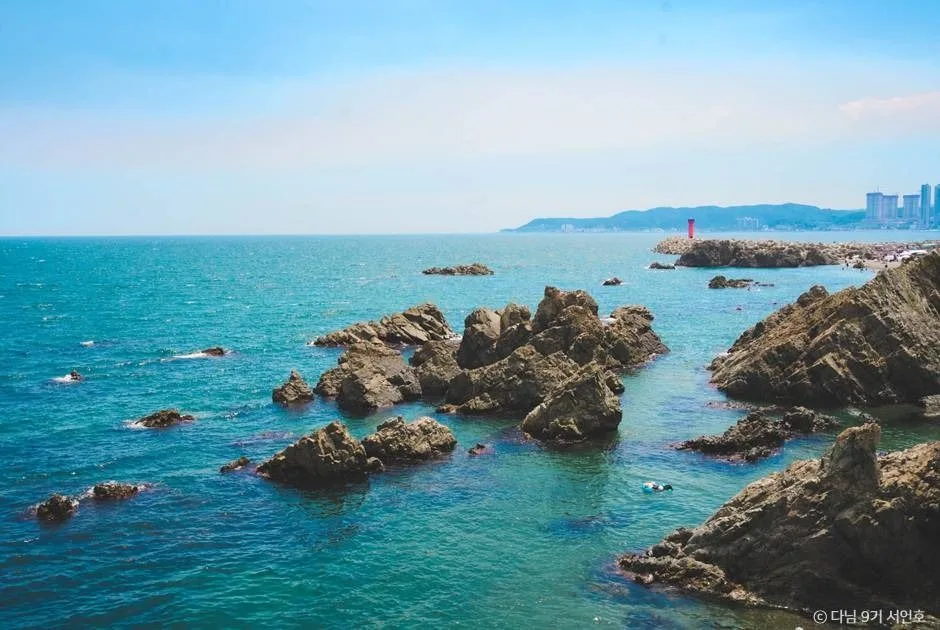 지경리해변(경주)