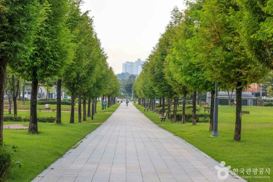 경기_안성_안성맞춤가족공원 (2)