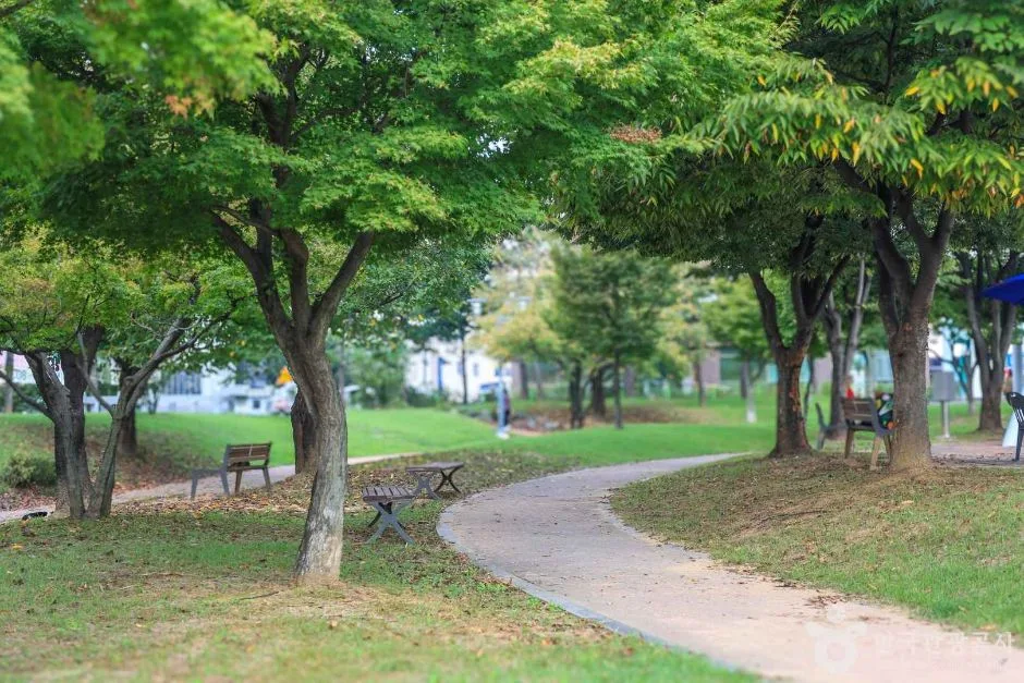 경기_안성_안성맞춤가족공원 (4)