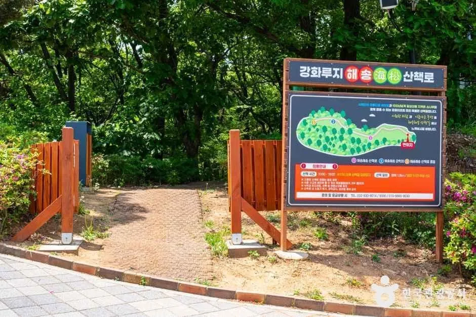 인천_강화_강화루지_체험_5.JPG