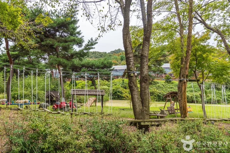 이안숲속 (4)