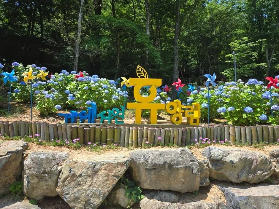 거제_거제자연휴양림 (1)