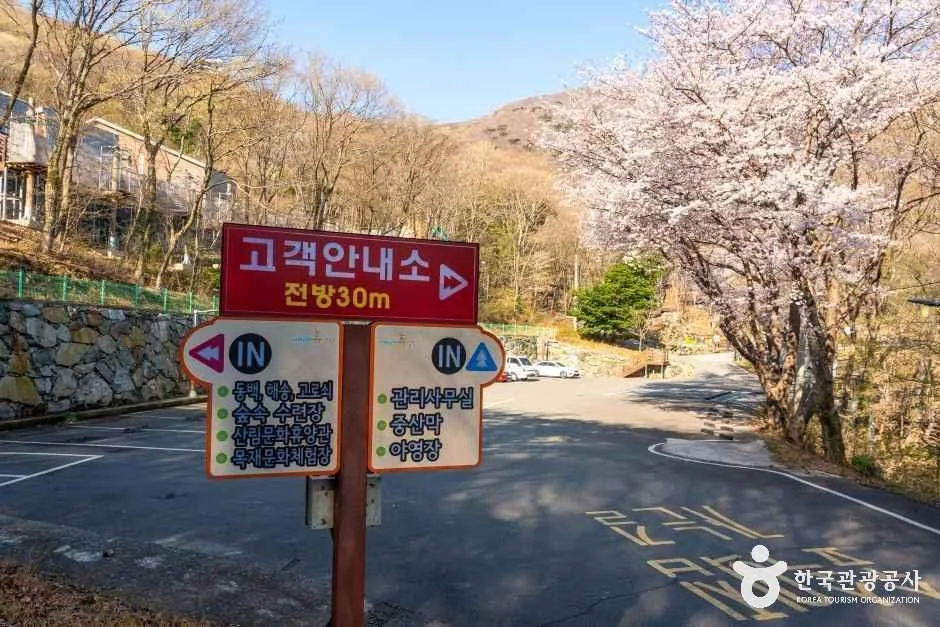 경남_거제_거제자연휴양림_내부_04.jpg