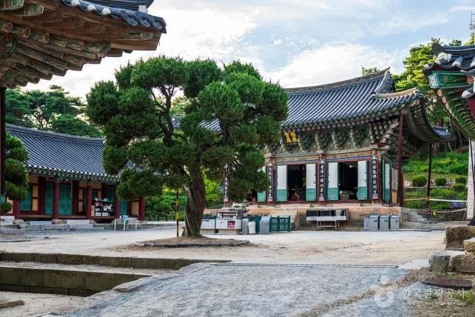 신륵사(여주)_9