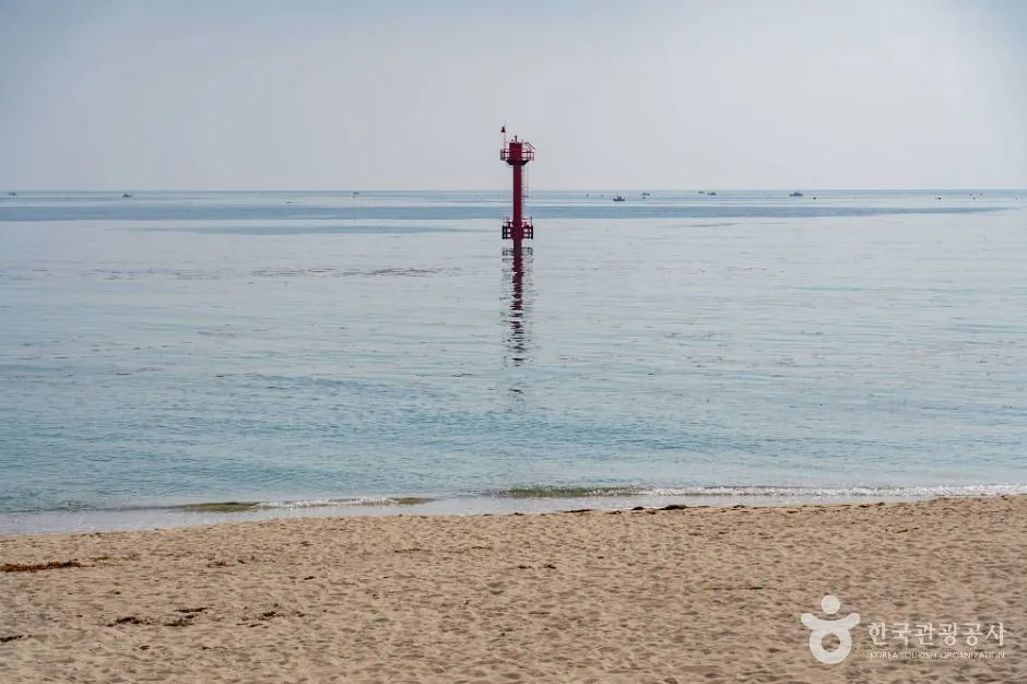 고성_봉포해변 (6)