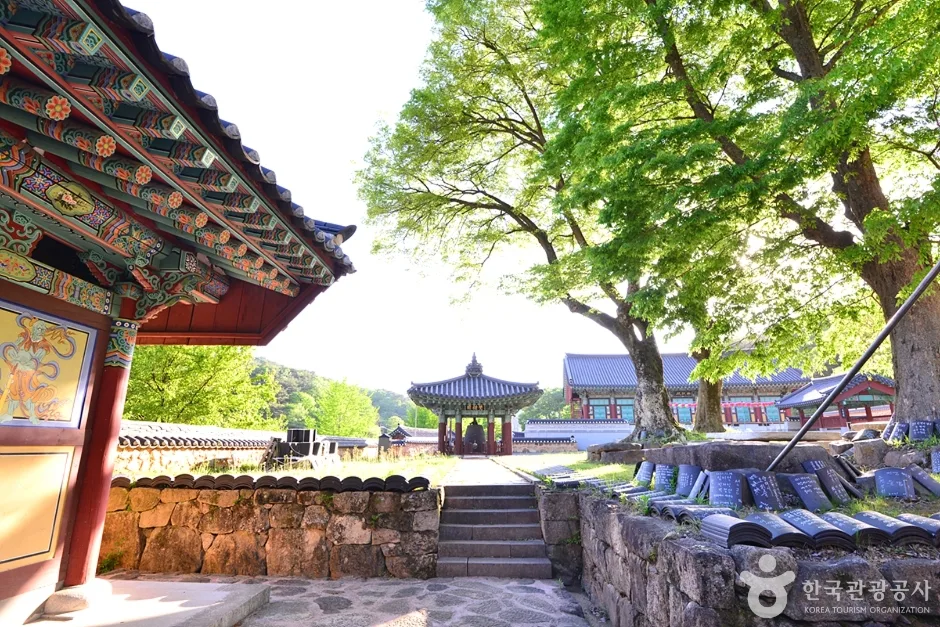 전남_화순_쌍봉사(화순) (3)