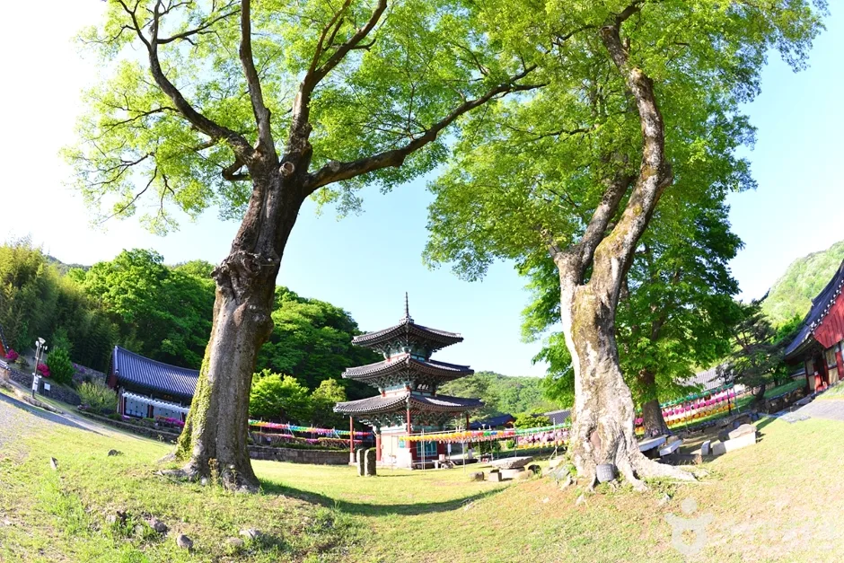 전남_화순_쌍봉사(화순) (13)