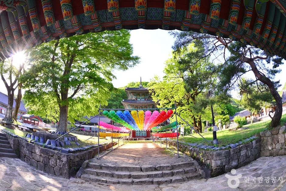 전남_화순_쌍봉사(화순) (11)