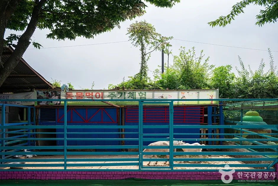 고양낙농치즈테마체험장 (11)