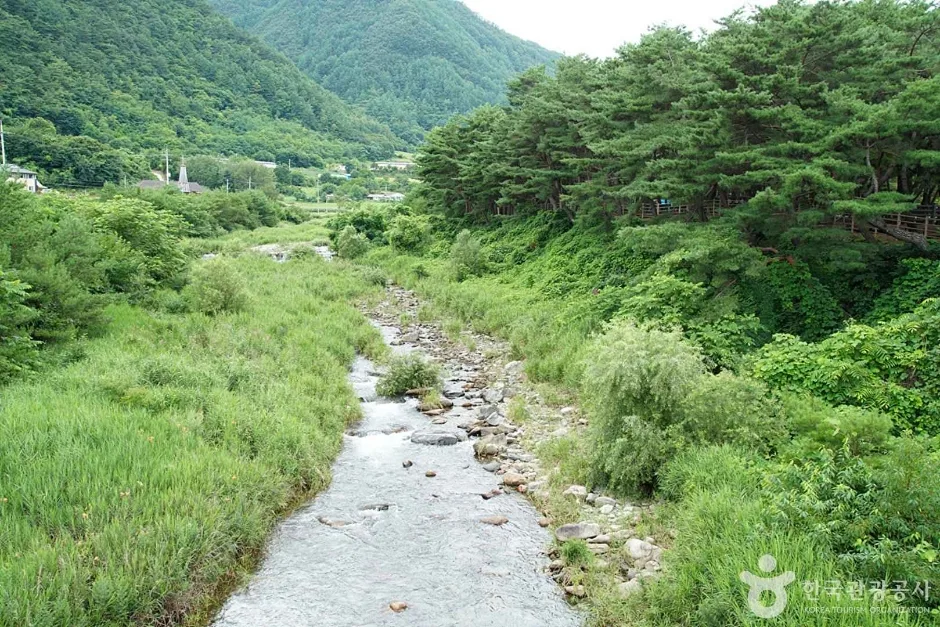 정선가리왕산마을 (16)