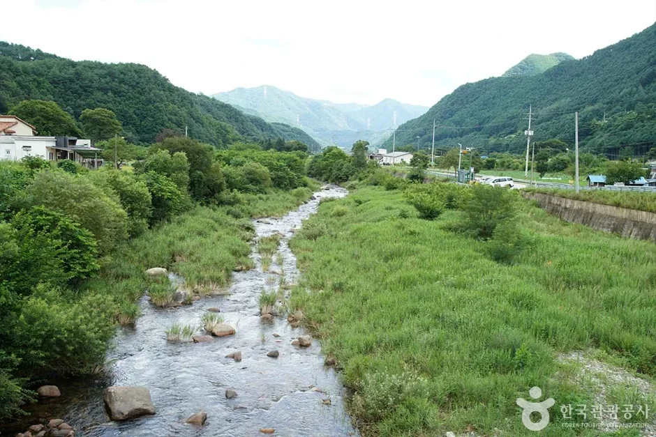 정선가리왕산마을 (18)