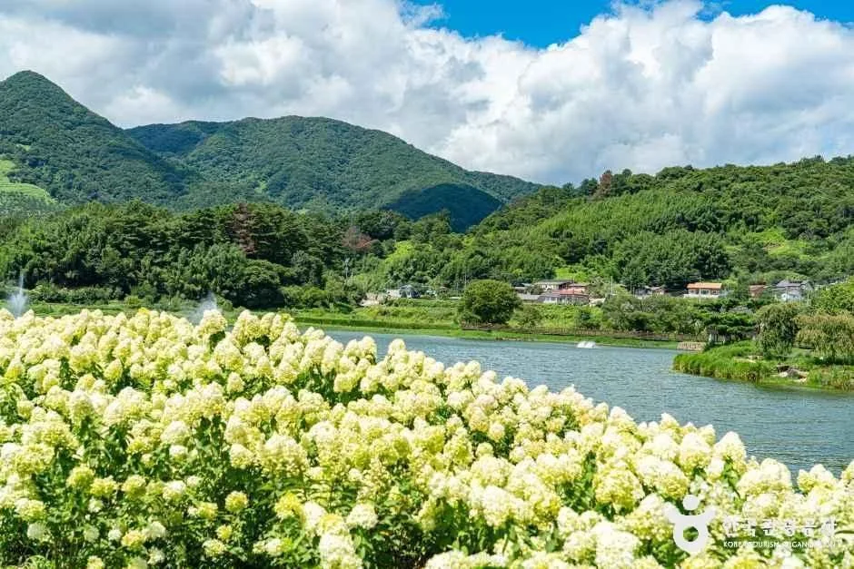 하동_지리산 별천지마을 (4).jpg
