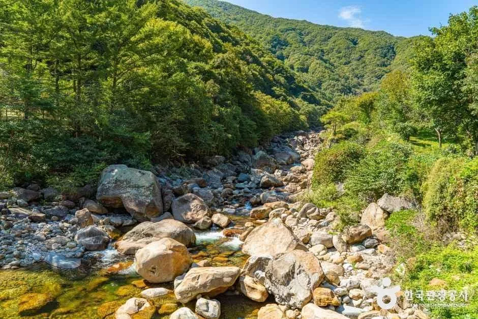 하동_지리산 별천지마을 (2).jpg