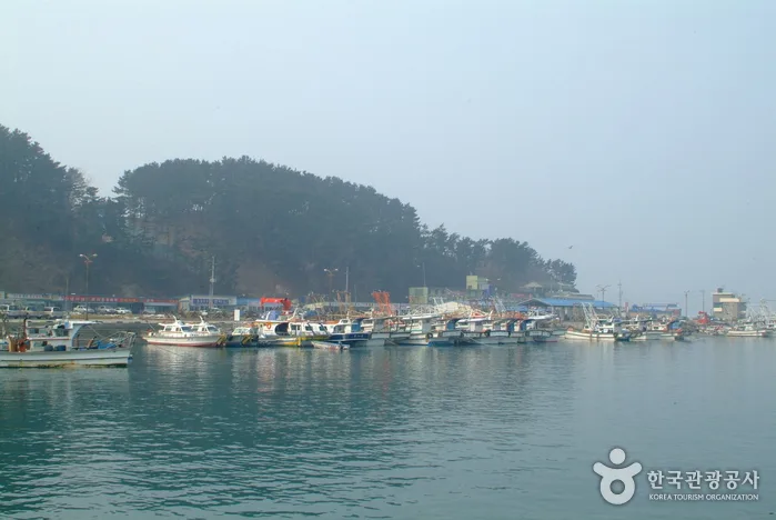 바닷가 풍경이 아름다운 곳에서 체험까지