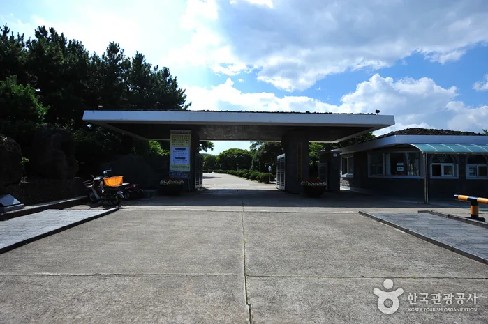제주_제주특별자치도 민속자연사박물관_내부_4.jpeg