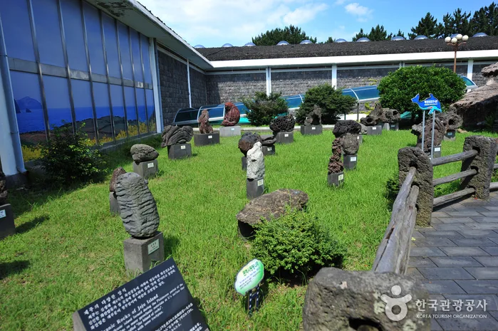 제주_제주특별자치도 민속자연사박물관_내부_5.jpeg