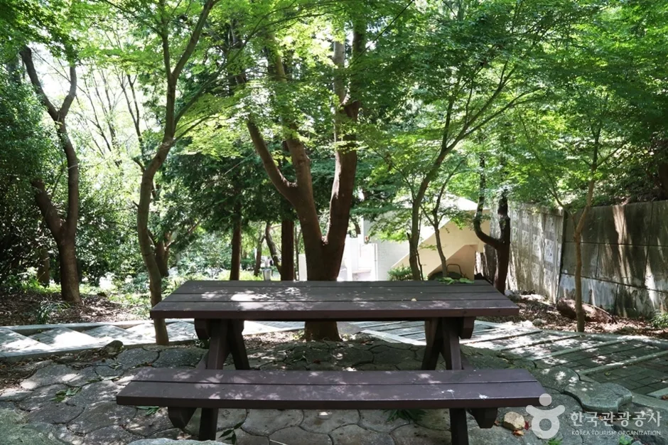 황령산레포츠공원 (19)