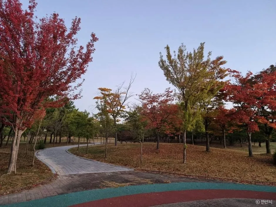 안산_안산호수공원_4