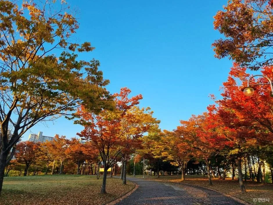 안산_안산호수공원_5