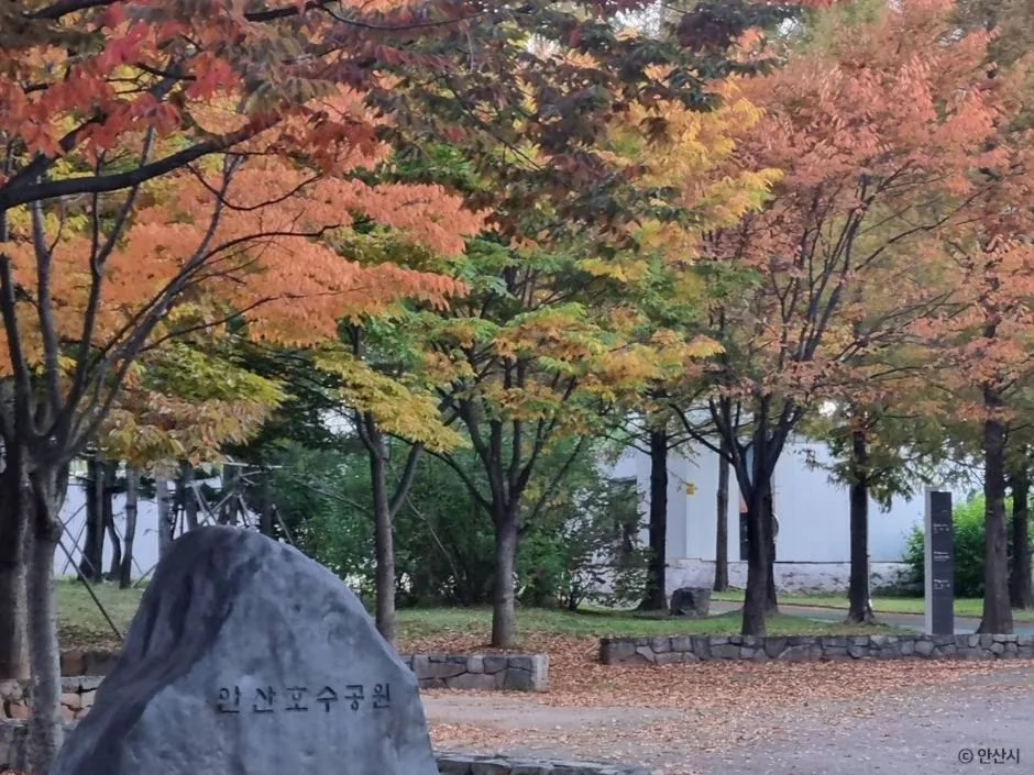 안산_안산호수공원_15