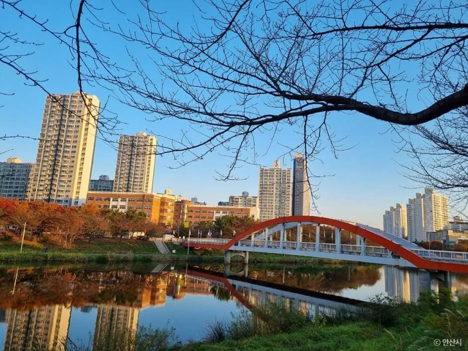 안산_안산호수공원_8