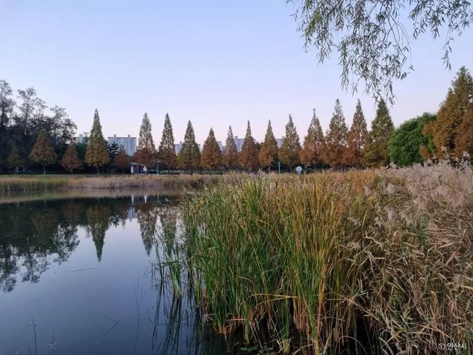 안산_안산호수공원_3