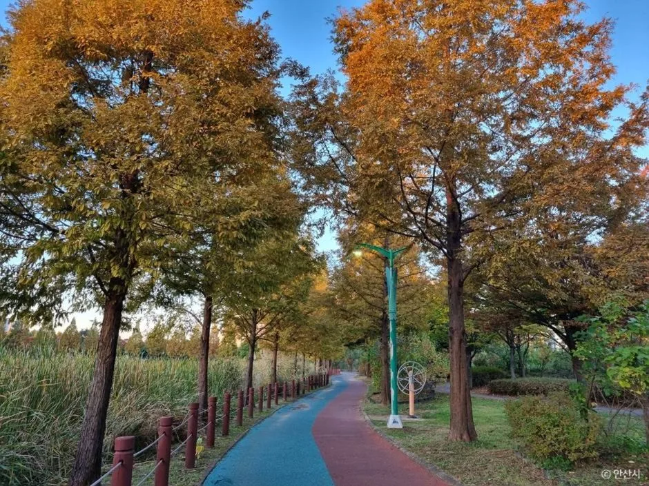 안산_안산호수공원_2