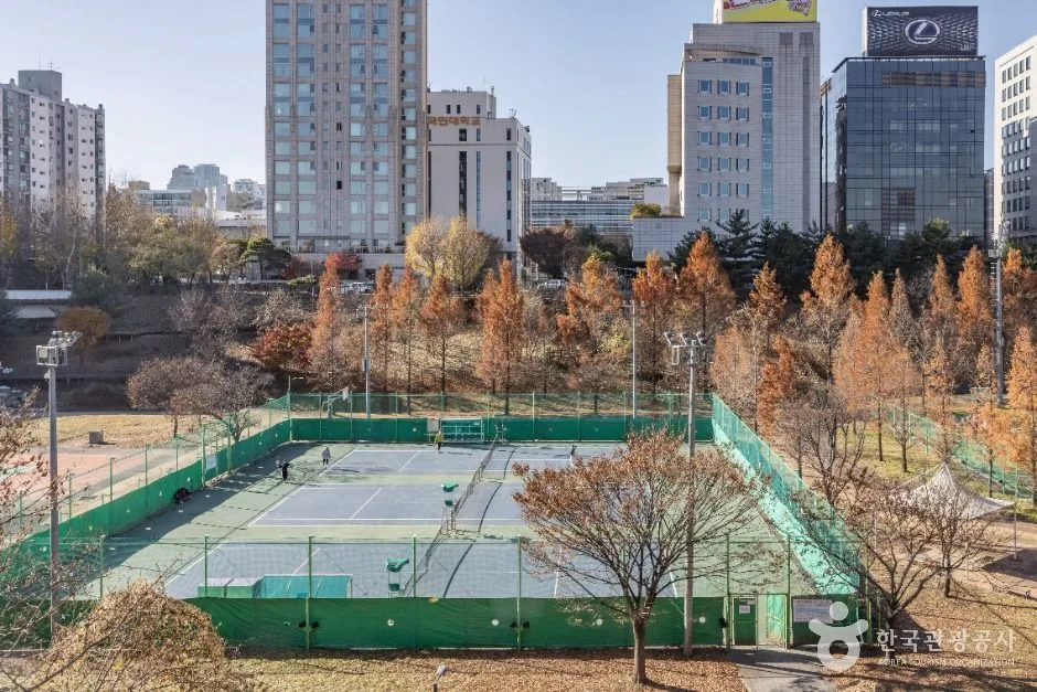 서울강남_대치유수지체육공원 (8)