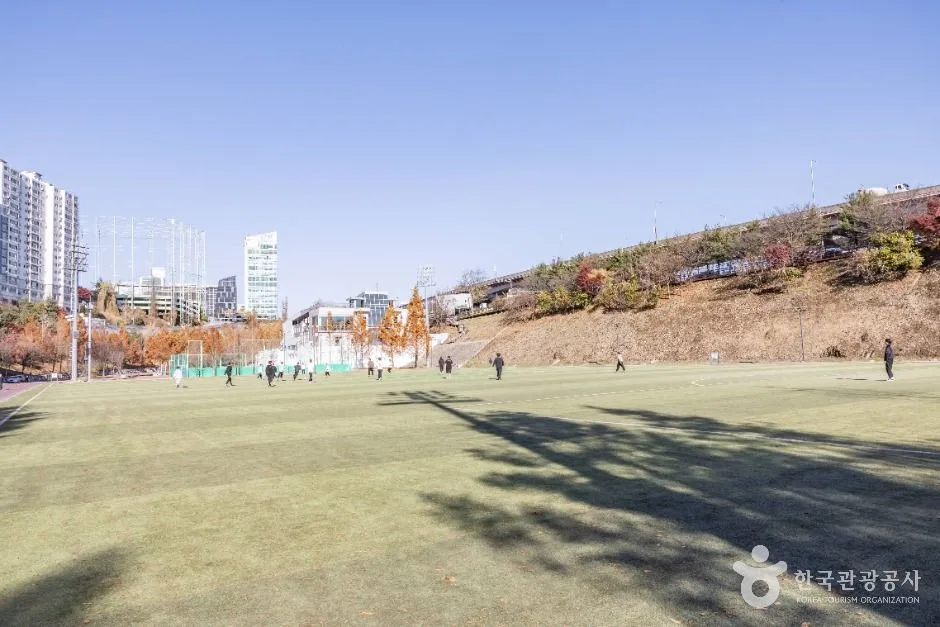 서울강남_대치유수지체육공원 (5)
